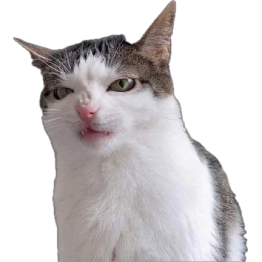 Стикер Kitkitsticks - 1