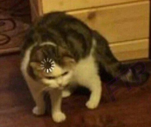 Стикер KittenMoji_by_e4zybot - 1