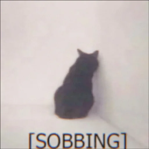 Стикер ⿴݃ KITTEN MOODs ⨾ @tehkotack - 3