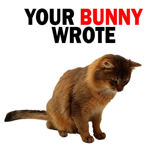 text domestic cat animal