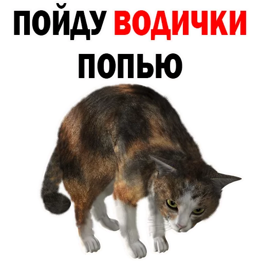 СМС животное млекопитающее