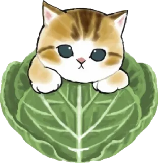 Стикер Kittens @stickersb2b - 8