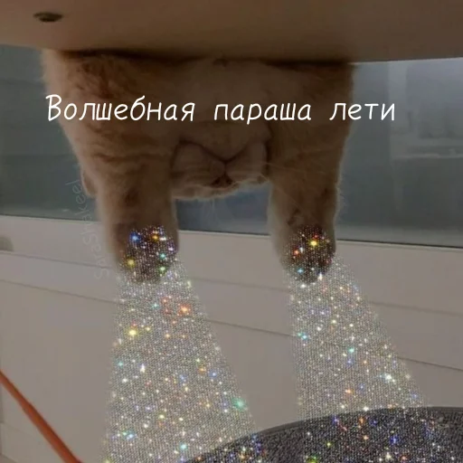 Sticker Kittens_ksu - 1