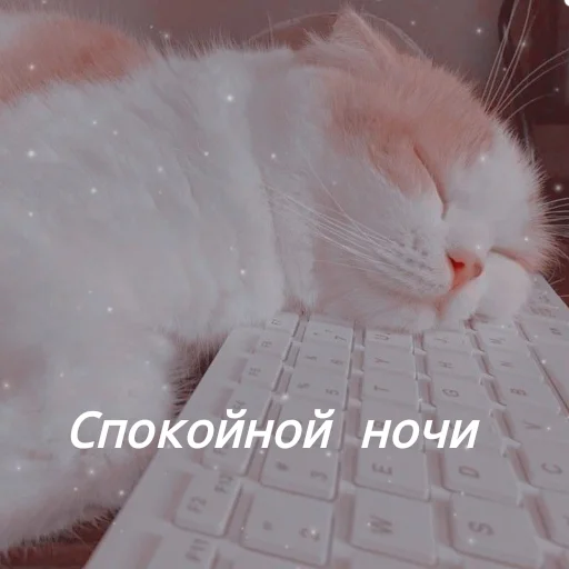 Sticker Kittens_ksu - 1