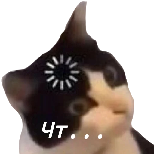 Стикер Котя(сделала сама(Ксюня) - 5