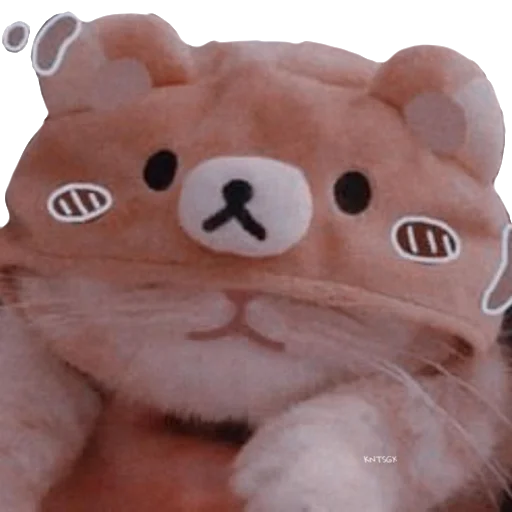 Стикер Котя(сделала сама(Ксюня) - 2