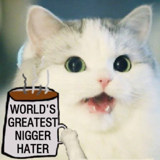 кошки малого и среднего размера животное млекопитающее