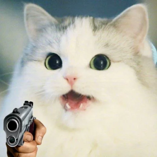 кошки малого и среднего размера млекопитающее усы