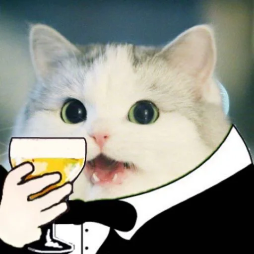 кошки малого и среднего размера кошачьи усы