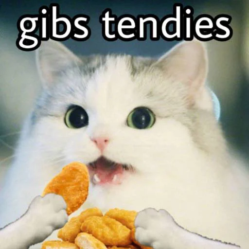 animal mammal small to medium-sized cats