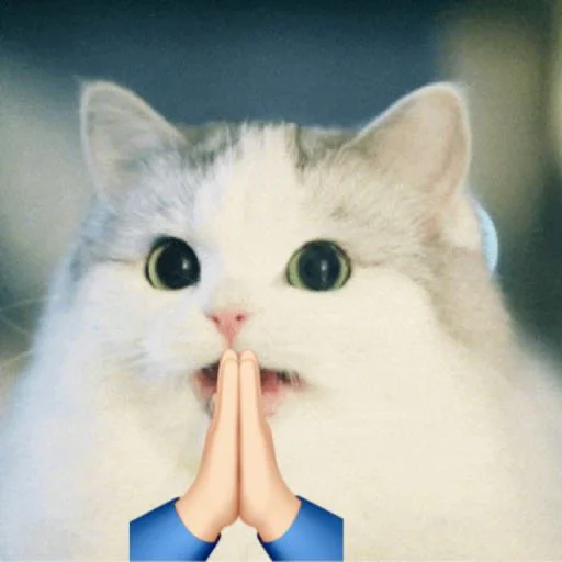 животное млекопитающее кошка