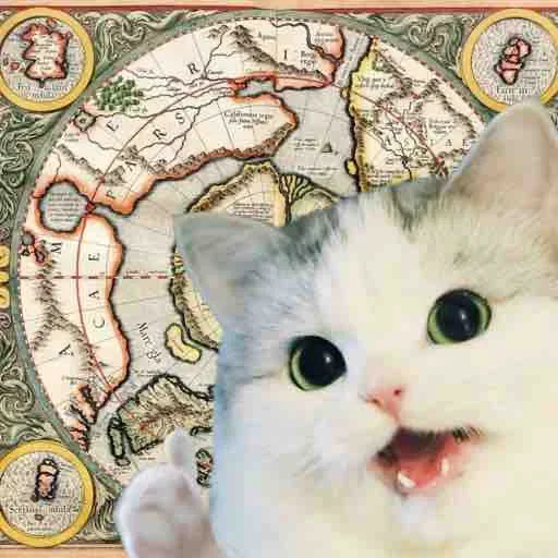 кошка кошки малого и среднего размера кошачьи