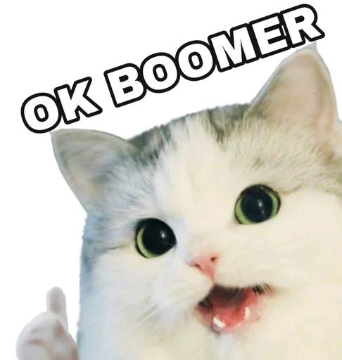 животное млекопитающее кошка