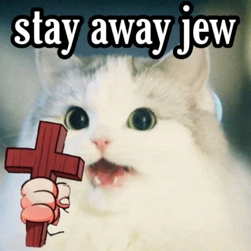 кошки малого и среднего размера животное кошка