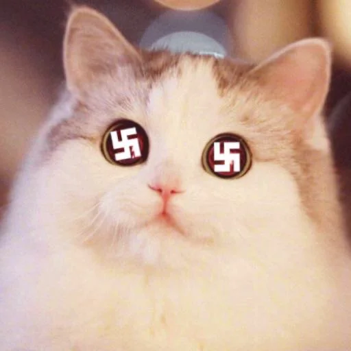 животное млекопитающее кошка