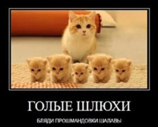 Sticker Kittikatka - 1