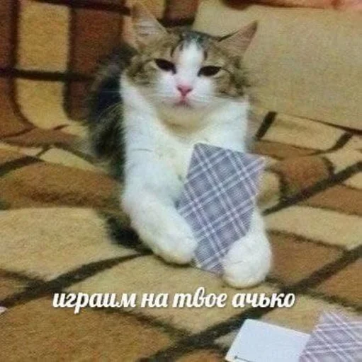 Sticker Киски без одежды (голые) - 6