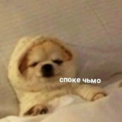 Sticker (@i_Love_Akame) Kitty 4 - 3