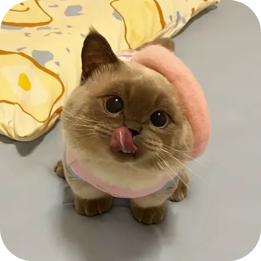 Sticker Kitty8028 - 1