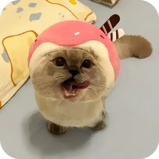 Sticker Kitty8028 - 1