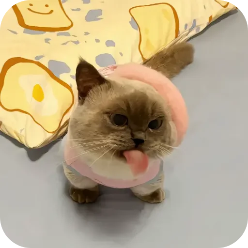 Sticker Kitty8028 - 1