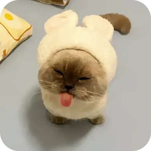 Стикер Kitty8028 - 1