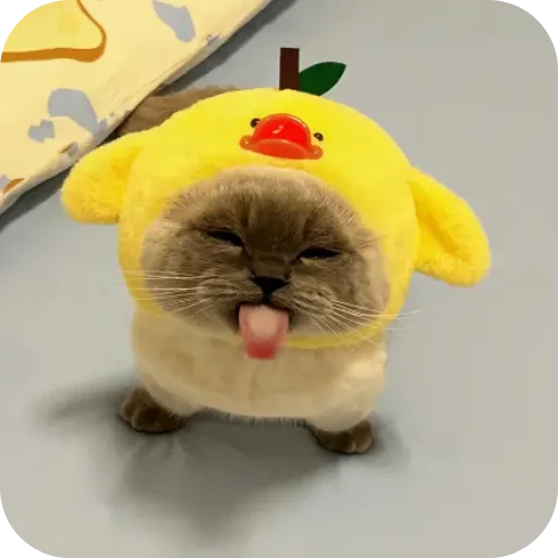 Sticker Kitty8028 - 1