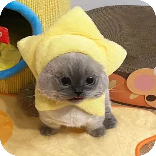 Sticker Kitty8028 - 1