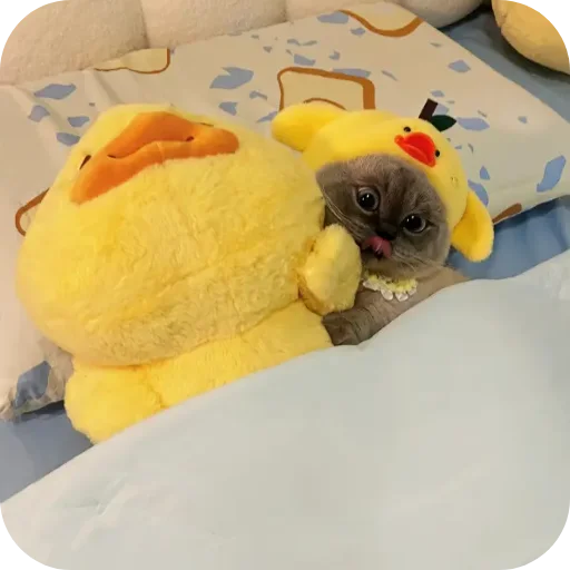 Sticker Kitty8028 - 1