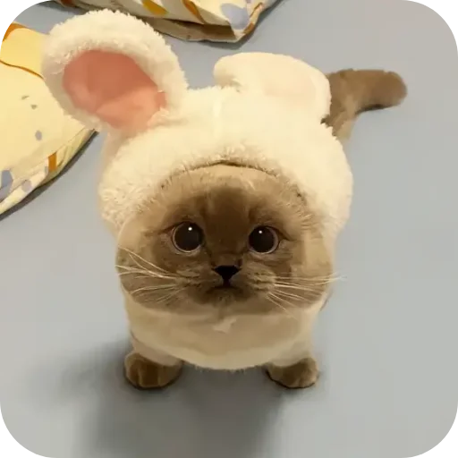 Sticker Kitty8028 - 1