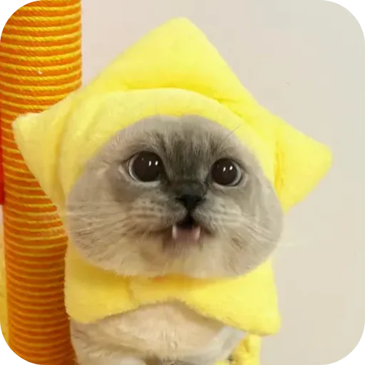 Sticker Kitty8028 - 1