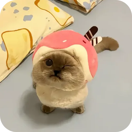 Sticker Kitty8028 - 1