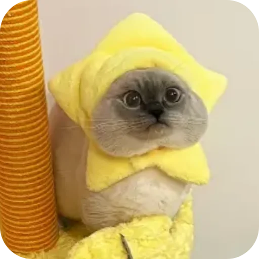 Sticker Kitty8028 - 1