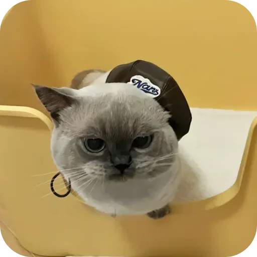 Sticker Kitty8028 - 1