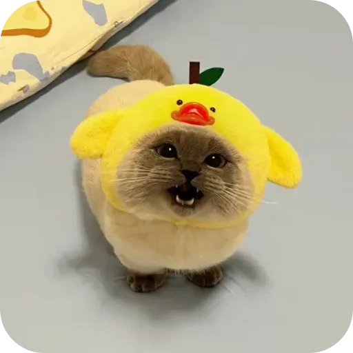 Sticker Kitty8028 - 1