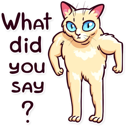 кошка млекопитающее клипарт