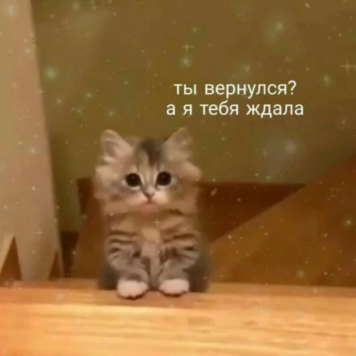 Sticker Kitty_miss010 - 1