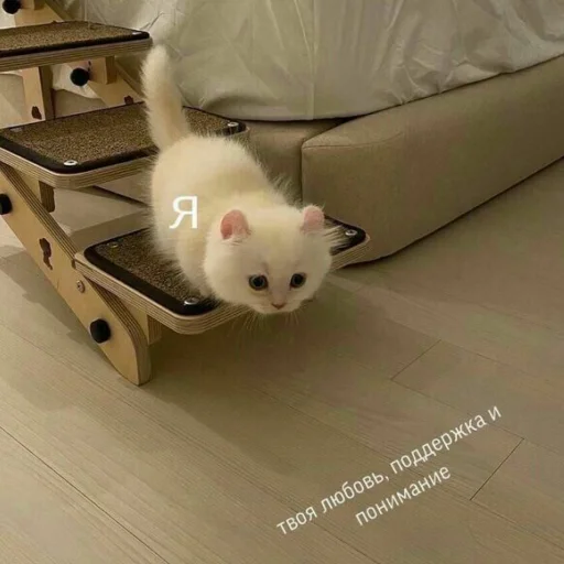 Стикер Kitty_miss010 - 1