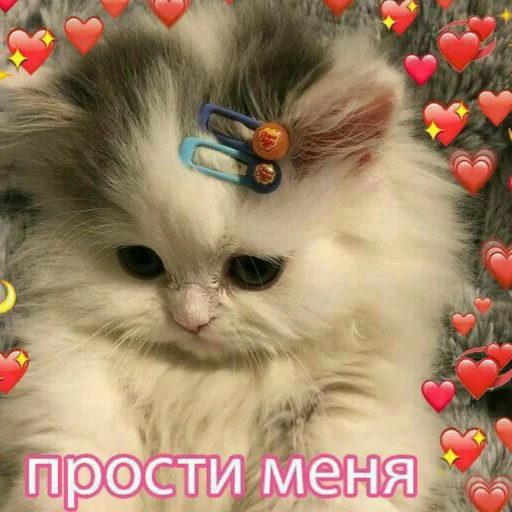 Sticker Kitty_miss010 - 1