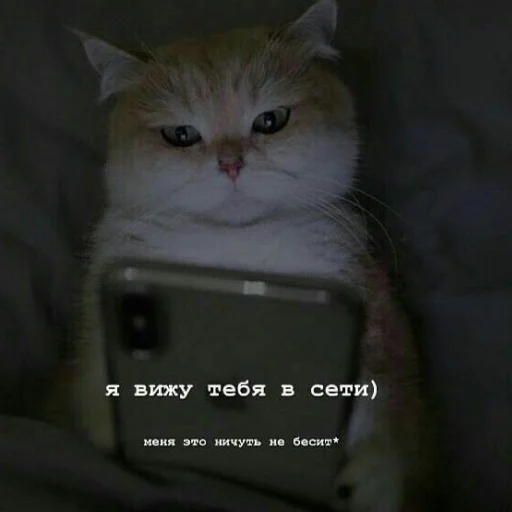 Sticker Kitty_miss010 - 1