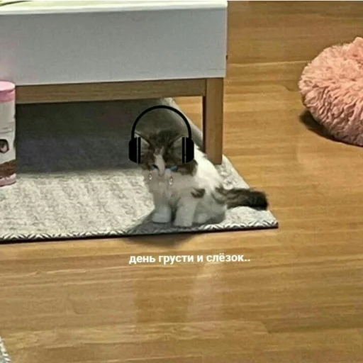 Sticker Kitty_miss010 - 1