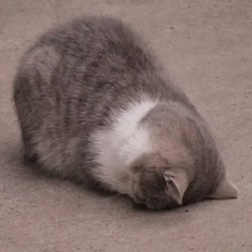 Sticker Kiynafr18 - 1