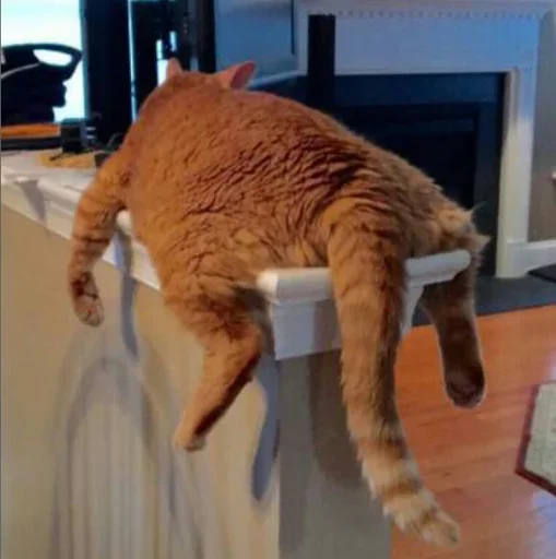 Sticker Kiynafr18 - 1