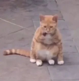 Стикер @Diastomi 18 - 7