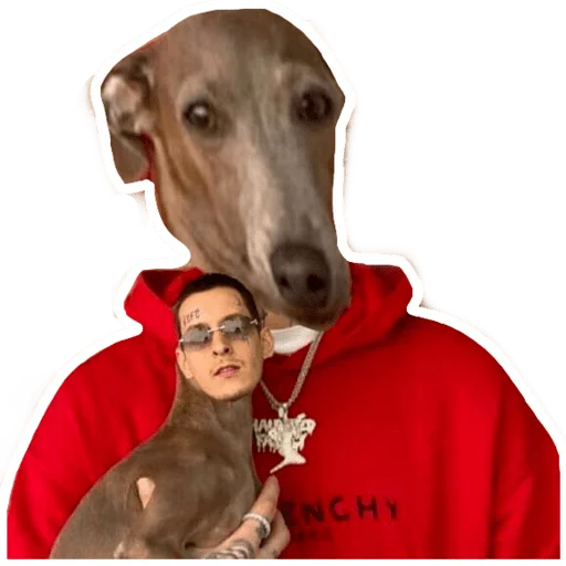 животное млекопитающее человеческое лицо