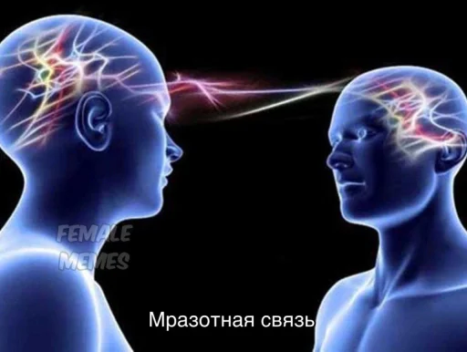 Sticker Kkassi_by_TgEmodziBot - 1