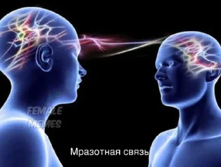 Стикер Kasi2. 0 @TgEmodziBot - 9