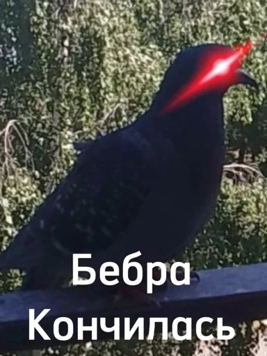 Sticker Класс бобров - 5