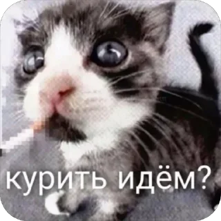 Sticker класс коррекции - 8