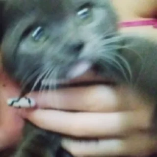 Sticker классные деффффчонки - 1